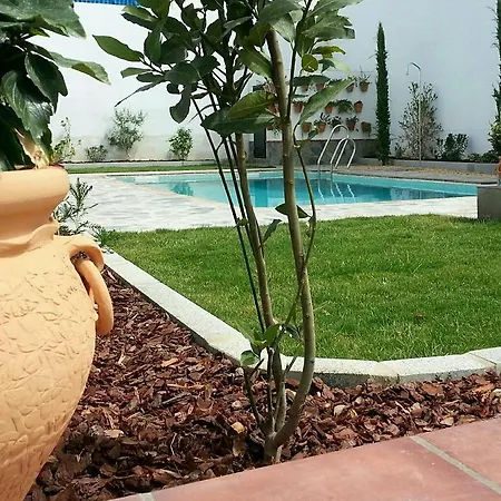 Entreolivos 2*