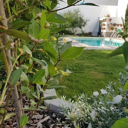 Entreolivos El Pedroso